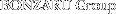 Bonzaru Group